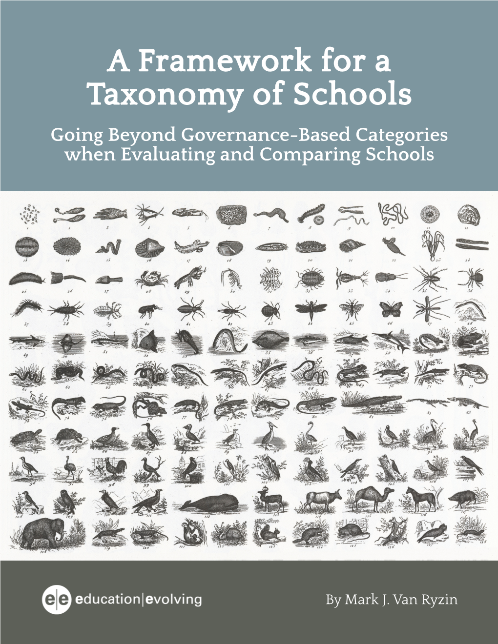 A Framework for a Taxonomy of Schools Going Beyond Governance-Based Categories When Evaluating and Comparing Schools