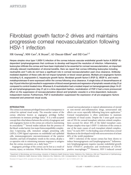 Fibroblast Growth Factor-2 Drives and Maintains Progressive Corneal Neovascularization Following HSV-1 Infection
