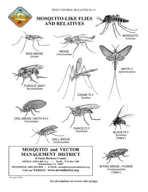 Mosquito-Like Flies and Relatives