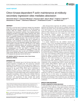 Citron Kinase-Dependent F-Actin Maintenance at Midbody Secondary Ingression Sites Mediates Abscission