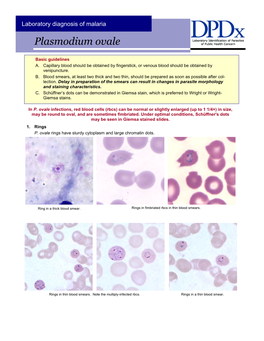 Laboratory Diagnosis of Plasmodium Ovale