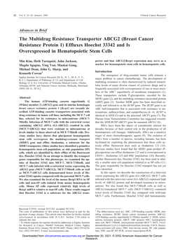 The Multidrug Resistance Transporter ABCG2 (Breast Cancer Resistance Protein 1) Effluxes Hoechst 33342 and Is Overexpressed in Hematopoietic Stem Cells