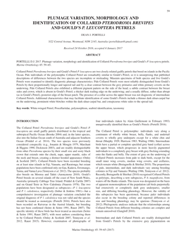 Plumage Variation, Morphology and Identification of Collared Pterodroma Brevipes and Gould’S P