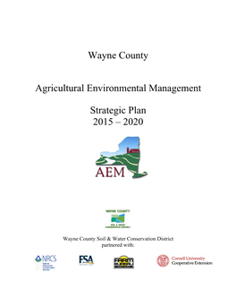 Wayne Cnty AEM 2015-2020 Strategy