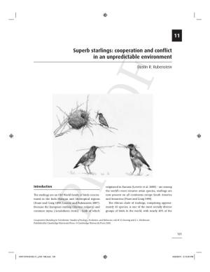 Superb Starlings: Cooperation and Conflict in an Unpredictable Environment