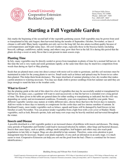 Starting a Fall Vegetable Garden