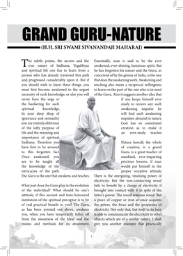 Grand Guru-Nature (H.H