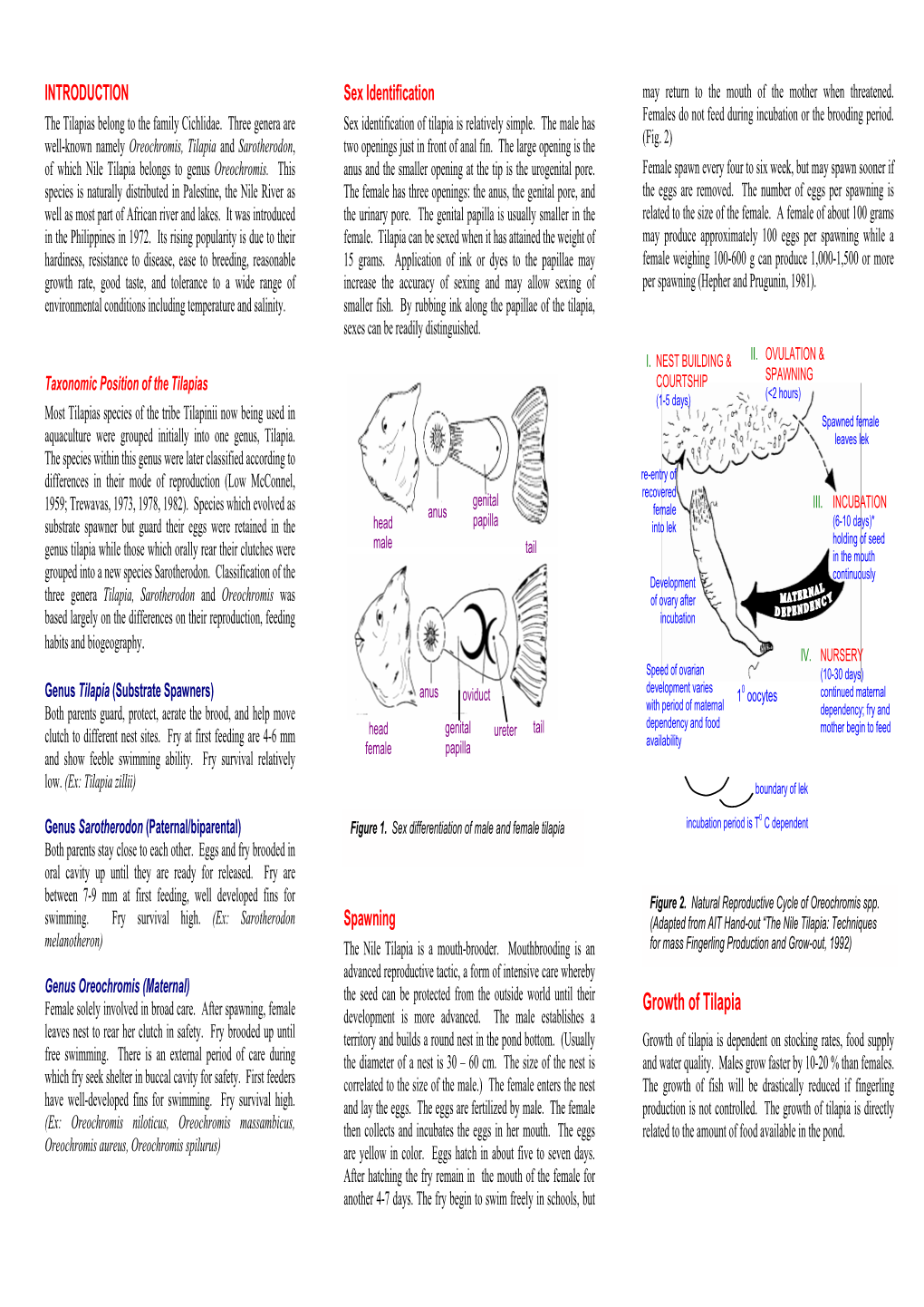 Basic Biology of Tilapia