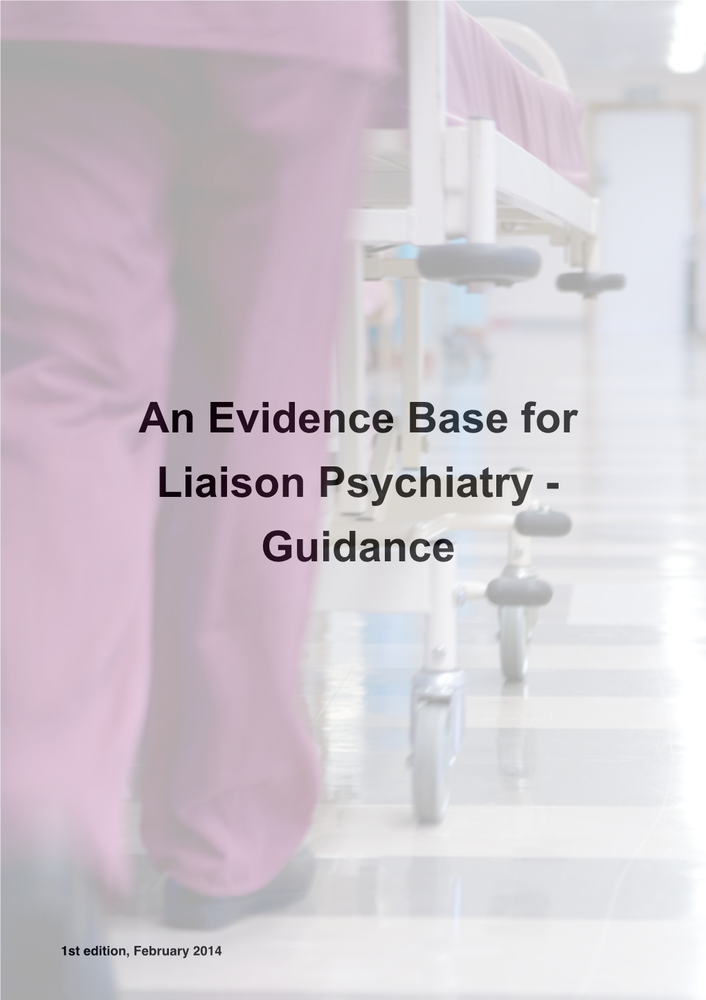 An Evidence Base for Liaison Psychiatry Services – Guidance