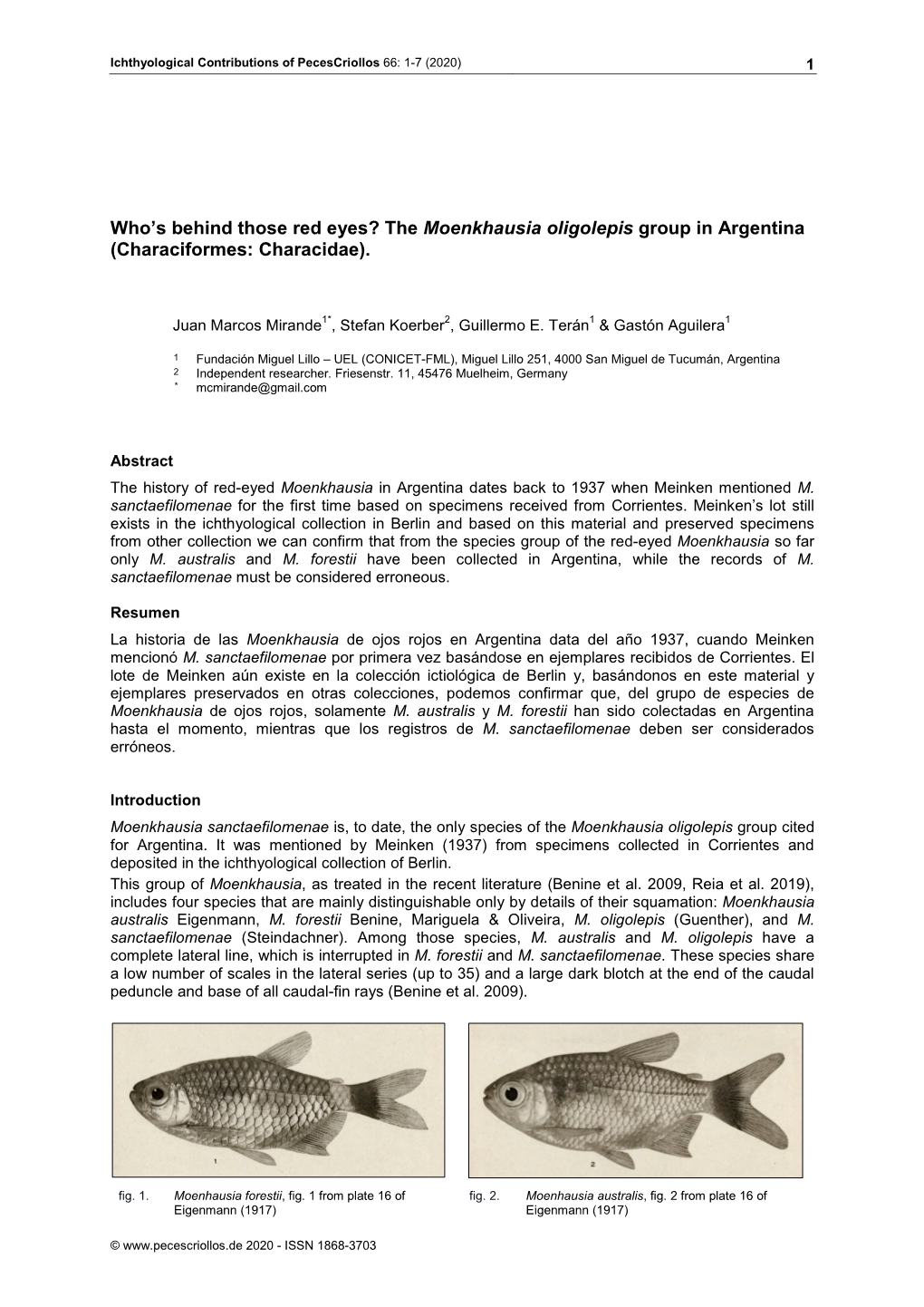 Red-Eyed Moenkhausia in Argentina Dates Back to 1937 When Meinken Mentioned M