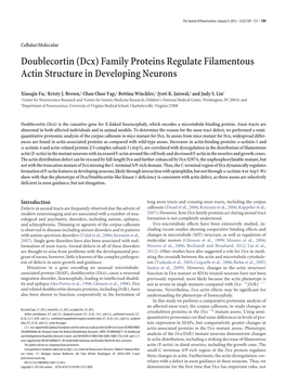 Doublecortin (Dcx) Family Proteins Regulate Filamentous Actin Structure in Developing Neurons