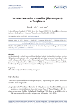 Introduction to the Mymaridae (Hymenoptera)