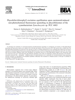 Phycobilin/Chlorophyll Excitation Equilibration Upon Carotenoid