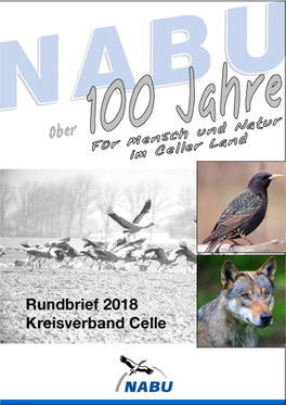 Nabu-Kreis-Celle-Rundbrief-2018.Pdf