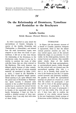 IV on the Relationship of Dromiacea, Tymolinae and Raninidae to The