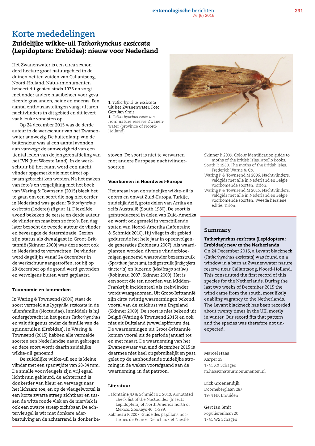Korte Mededelingen Zuidelijke Wikke-Uil Tathorhynchus Exsiccata (Lepidoptera: Erebidae): Nieuw Voor Nederland