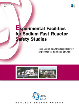 Experimental Facilities for Sodium Fast Reactor Safety Studies