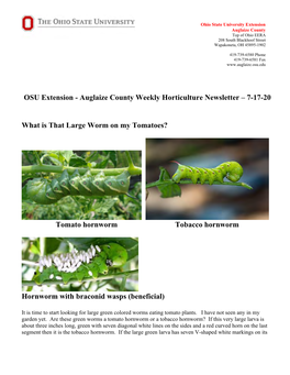 OSU Extension - Auglaize County Weekly Horticulture Newsletter – 7-17-20