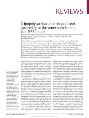 Lipopolysaccharide Transport and Assembly at the Outer Membrane: the PEZ Model