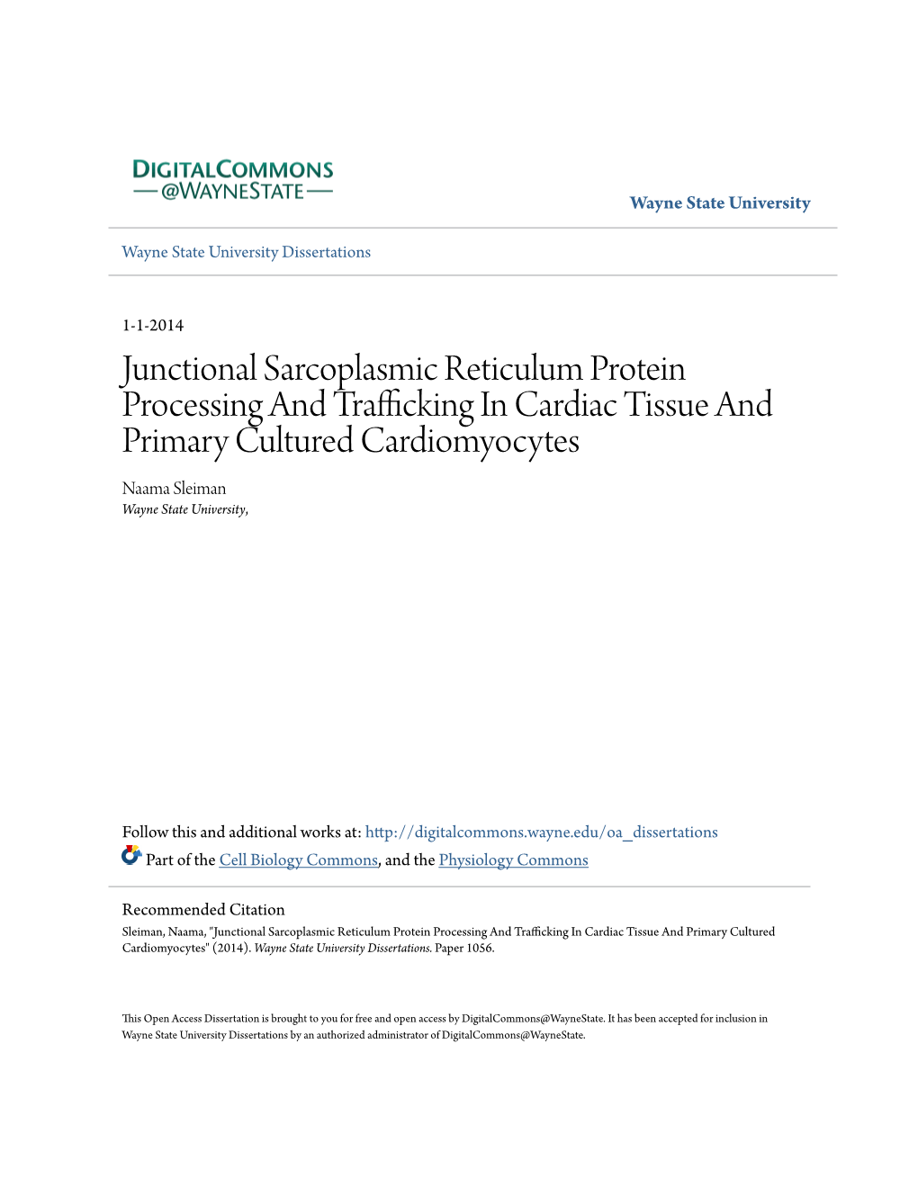 Junctional Sarcoplasmic Reticulum Protein Processing and Trafficking in Cardiac Tissue and Primary Cultured Cardiomyocytes Naama Sleiman Wayne State University