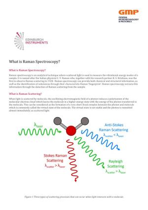 What Is Raman Spectroscopy?