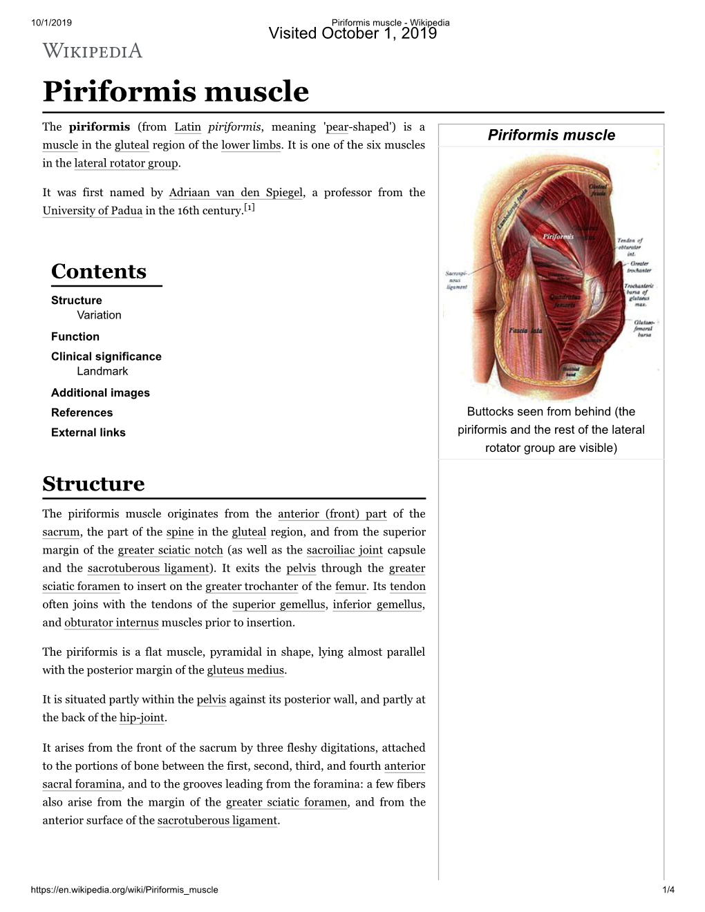 Piriformis Muscle - Wikipedia Visited October 1, 2019