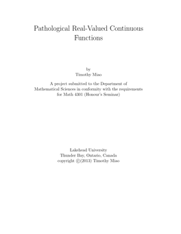 Pathological Real-Valued Continuous Functions