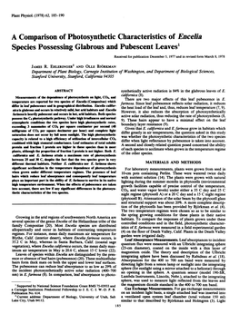 A Comparison of Photosynthetic Characteristicsof Encelia Species