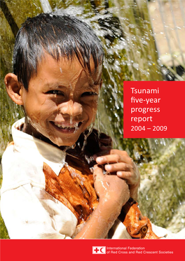 Tsunami Five-Year Progress Report 2009 | 