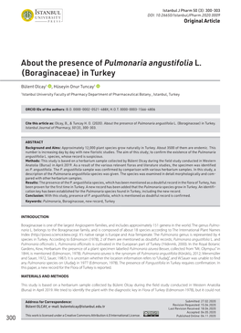 About the Presence of Pulmonaria Angustifolia L. (Boraginaceae) in Turkey