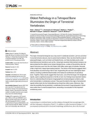 Oldest Pathology in a Tetrapod Bone Illuminates the Origin of Terrestrial Vertebrates