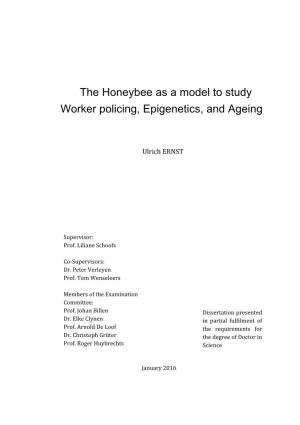 Worker Policing in the Honeybee, Epigenetics in Locusts, Ageing In