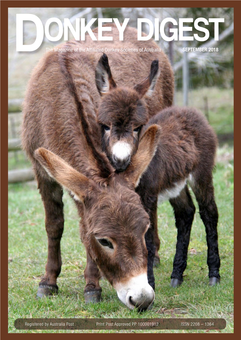 Miss Daisy Greets the World While Mum, Luna Shows Off Her New Baby