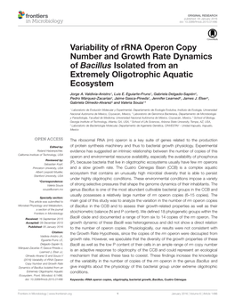 Variability of Rrna Operon Copy Number and Growth Rate Dynamics of Bacillus Isolated from an Extremely Oligotrophic Aquatic Ecosystem