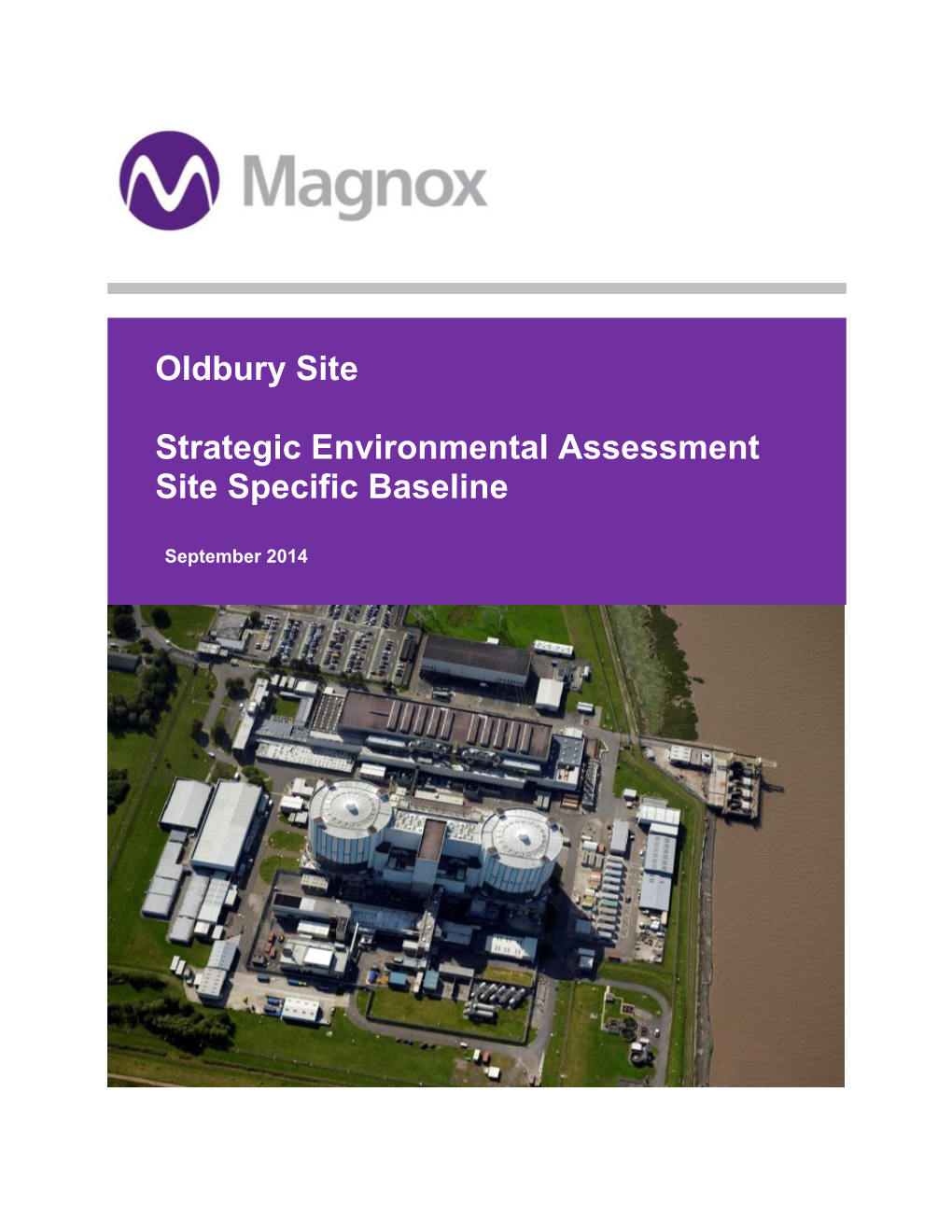 Oldbury Site Strategic Environmental Assessment