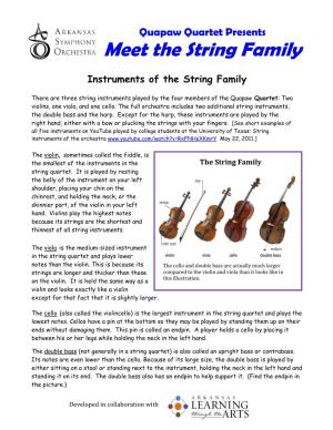 Meet the String Family