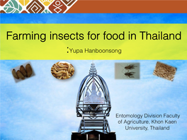 Farming Insects for Food in Thailand :Yupa Hanboonsong