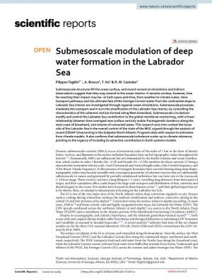 Submesoscale Modulation of Deep Water Formation in the Labrador Sea Filippos Tagklis1*, A