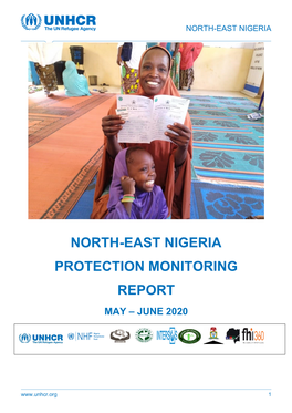 North-East Nigeria Protection Monitoring Report May – June 2020