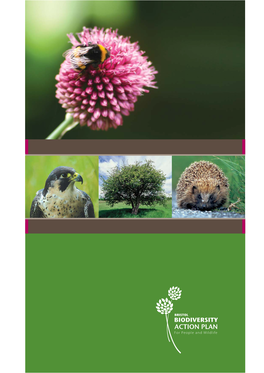 Bristol Biodiversity Action Plan – for People and Wildlife the Bristol Biodiversity Action Plan
