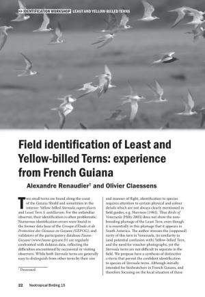 Field Identification of Least and Yellow-Billed Terns: Experience from French Guiana Alexandre Renaudier† and Olivier Claessens