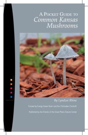 Common Kansas Mushrooms