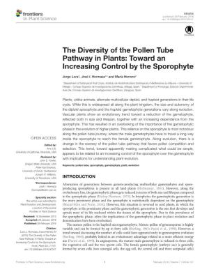 The Diversity of the Pollen Tube Pathway in Plants: Toward an Increasing Control by the Sporophyte