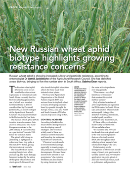 New Russian Wheat Aphid Biotype Highlights Growing Resistance Concerns