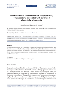 Identification of the Terebrantian Thrips (Insecta, Thysanoptera) Associated with Cultivated Plants in Java, Indonesia