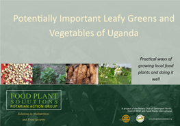 Uganda Leafy Greens and Vegetables
