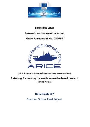 Summer School Final Report ARICE – GA No
