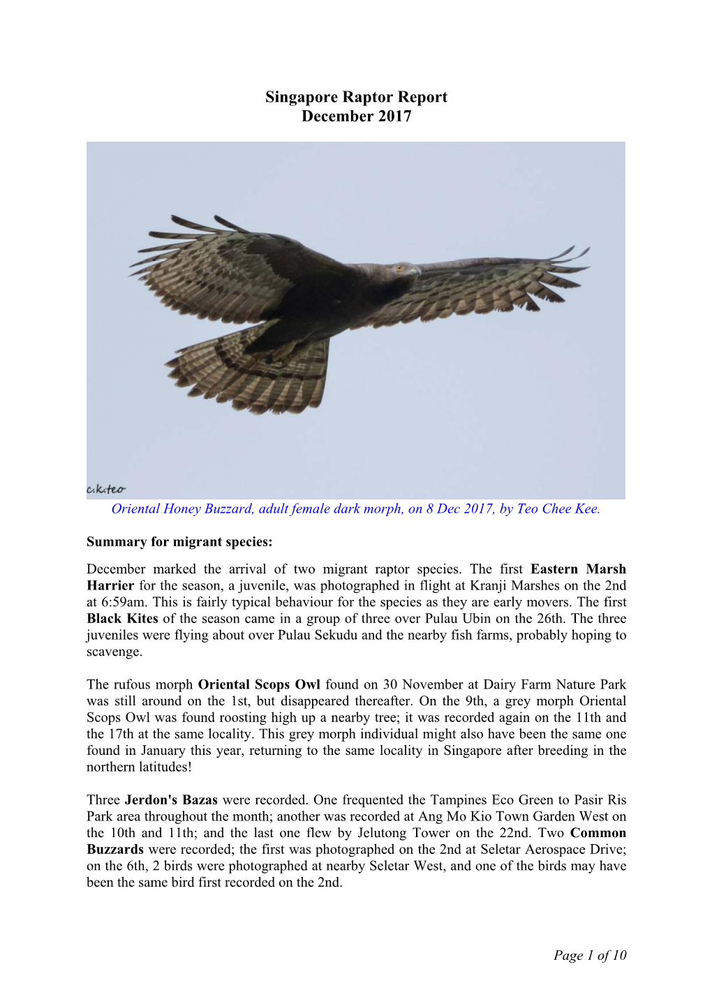 Singapore Raptor Report December 2017