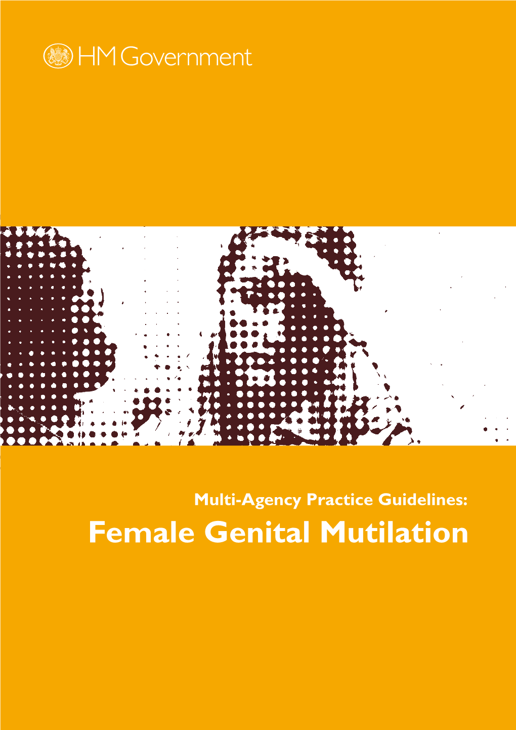 Multi-Agency: Practice Guidelines: Female Genital Mutilation