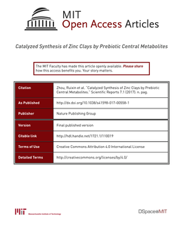 Catalyzed Synthesis of Zinc Clays by Prebiotic Central Metabolites